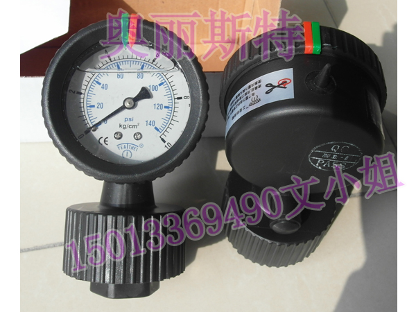 YEATHEL PP隔膜壓力表、耐酸堿隔膜壓力表